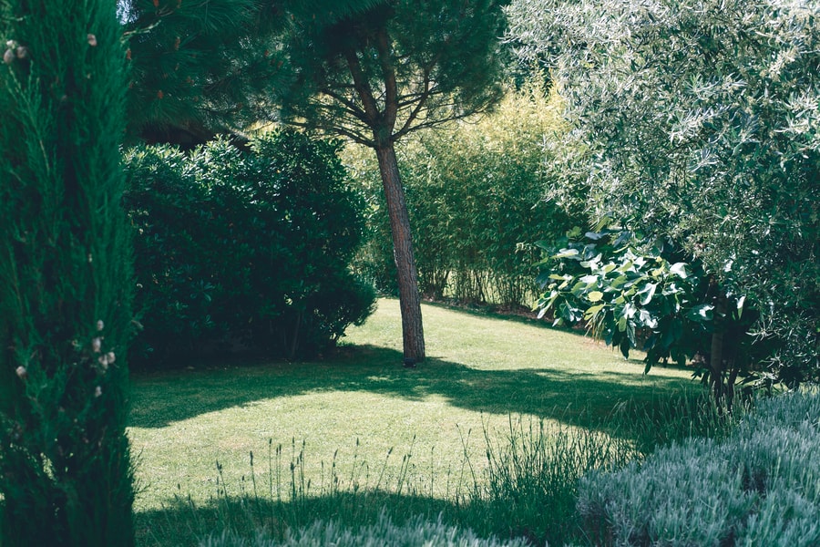 Image d'illustration 4